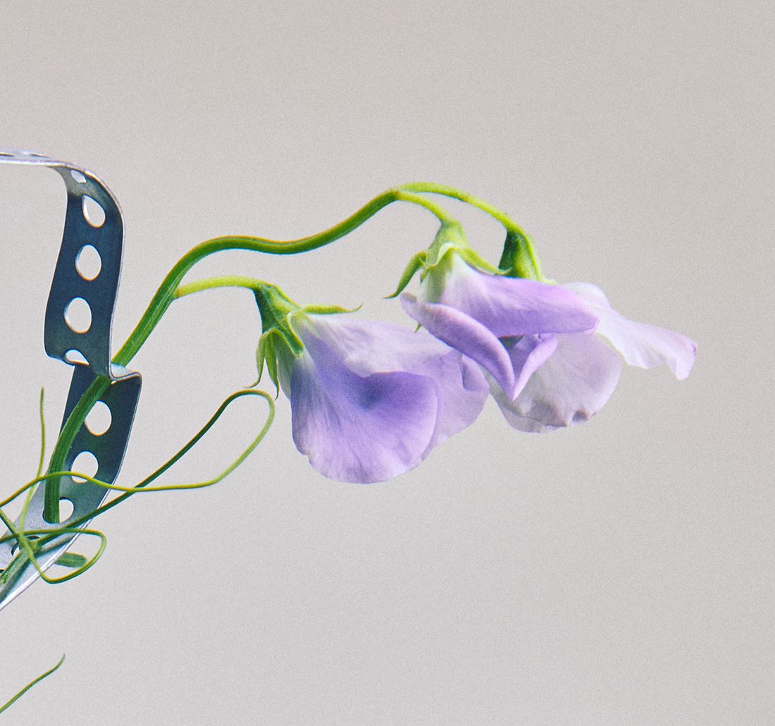 Choisir un parfum pour bébé, par où commencer ?