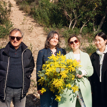 Let’s go on a mimosa tour in Tanneron 🌼