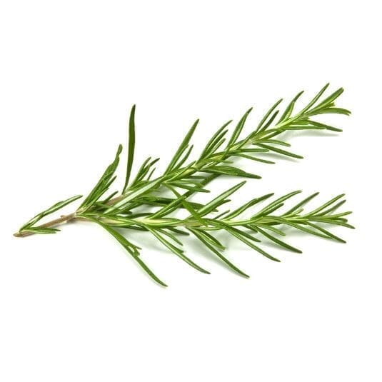 Parfum romarin