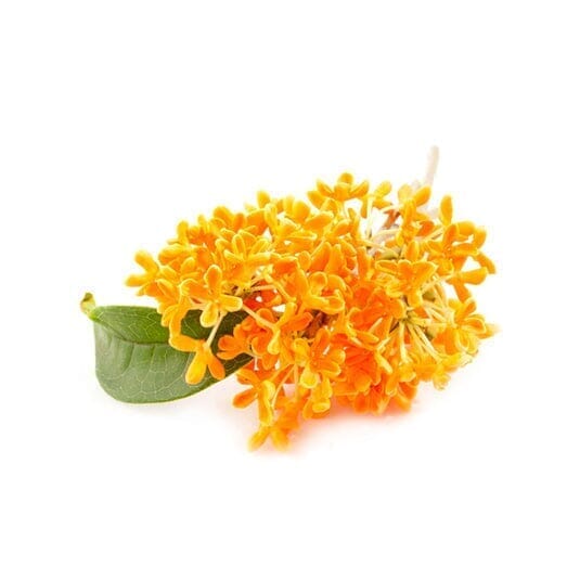 Parfum osmanthus