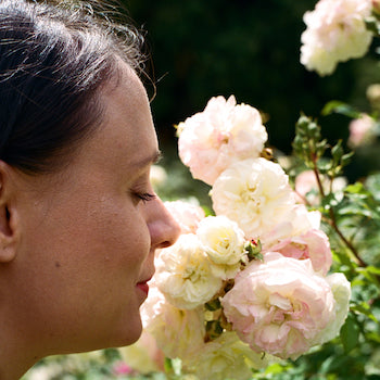 How do you create a rose perfume? Caroline Dumur, perfumer at 106 explains! 🎥
