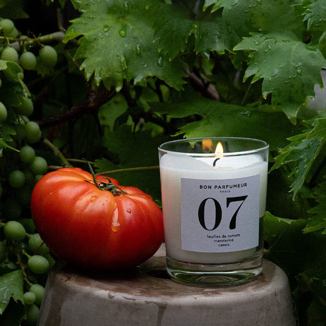 Candle 07 with tomato leaves, mandarin and blackcurrant